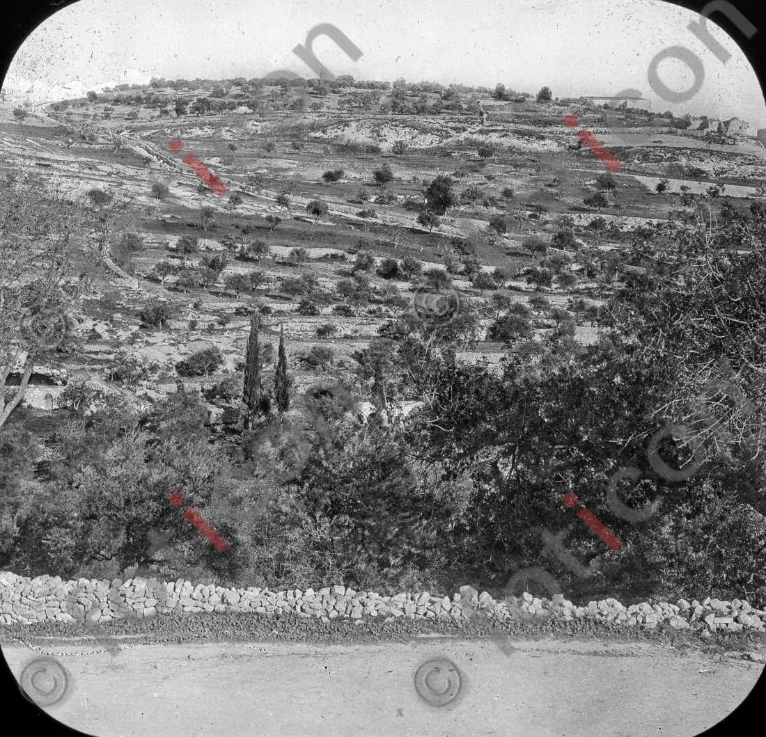 Ölberg | Mount of Olives - Foto foticon-simon-149a-028-sw.jpg | foticon.de - Bilddatenbank für Motive aus Geschichte und Kultur